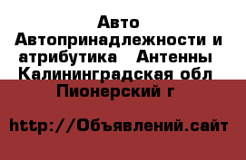 Авто Автопринадлежности и атрибутика - Антенны. Калининградская обл.,Пионерский г.